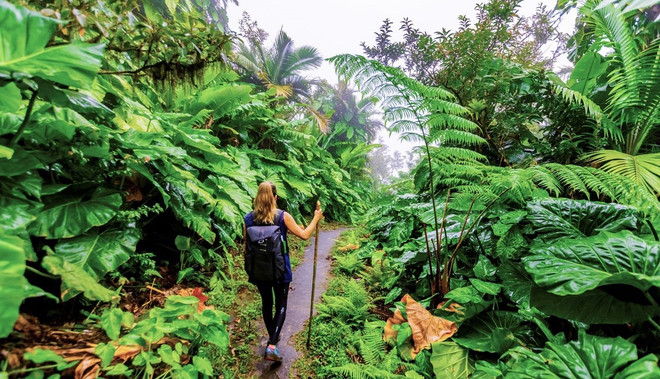 Localidades vietnamitas aceleran transformación digital en el turismo ảnh 1