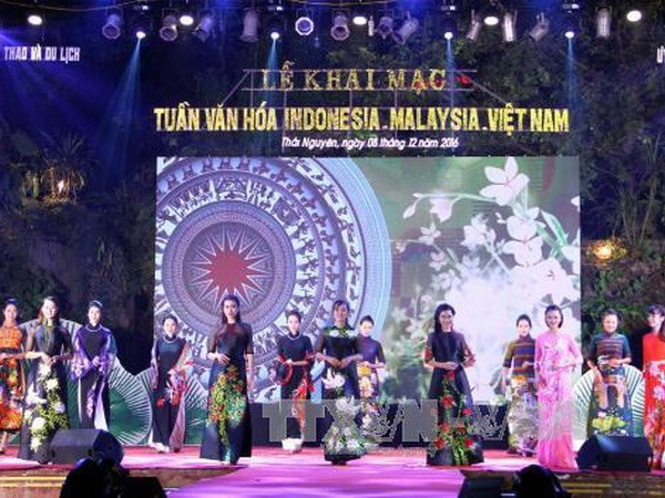 Inauguran Semana de Cultura Malasia- Indonesia- Vietnam ảnh 1