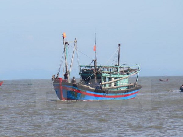 Forman cooperativa juvenil en Ha Tinh para ayudar a pesca en alta mar ảnh 1 Forman cooperativa juvenil en Ha Tinh para ayudar a pesca en alta mar ảnh 1