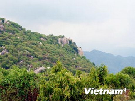 Promueven ecoturismo en provincia central de Ninh Thuan ảnh 1 Promueven ecoturismo en provincia central de Ninh Thuan ảnh 1