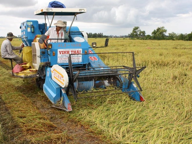 Establecen marcas comerciales para productos agrícolas de Vietnam ảnh 1 Establecen marcas comerciales para productos agrícolas de Vietnam ảnh 1