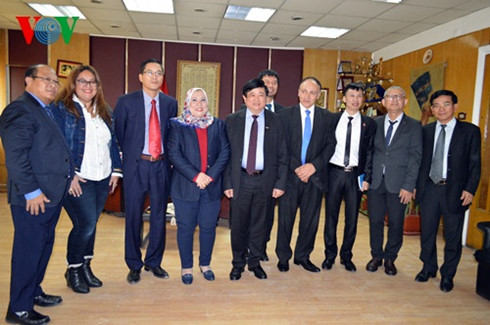 Radioemisoras de Vietnam y Egipto fortalecen cooperación ảnh 1 Radioemisoras de Vietnam y Egipto fortalecen cooperación ảnh 1