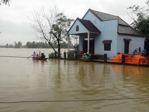 Trece muertos por inundaciones y fuertes lluvias en región central de Vietnam ảnh 1 Trece muertos por inundaciones y fuertes lluvias en región central de Vietnam ảnh 1