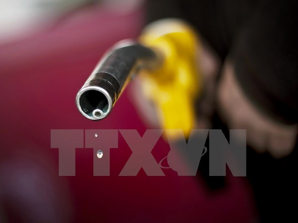 Viceprimer ministro de Vietnam recibe a ejecutivo de ExxonMobile ảnh 1 Viceprimer ministro de Vietnam recibe a ejecutivo de ExxonMobile ảnh 1