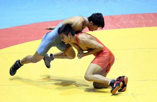 Vietnam se impone en campeonato regional de lucha libre ảnh 1 Vietnam se impone en campeonato regional de lucha libre ảnh 1