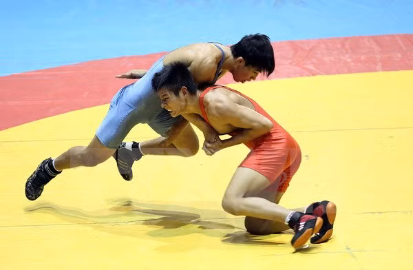 Vietnam se impone en campeonato regional de lucha libre ảnh 1 Vietnam se impone en campeonato regional de lucha libre ảnh 1