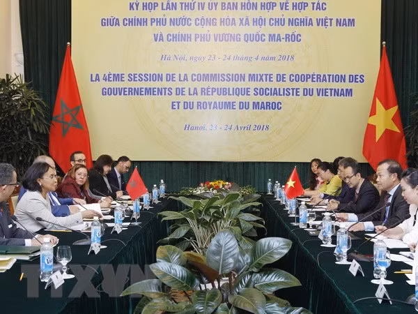 Vietnam y Marrueco intensifican cooperación multifacética ảnh 1