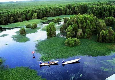 Adoptan en Vietnam medidas para preservar la biodiversidad de parque nacional ảnh 1 Adoptan en Vietnam medidas para preservar la biodiversidad de parque nacional ảnh 1
