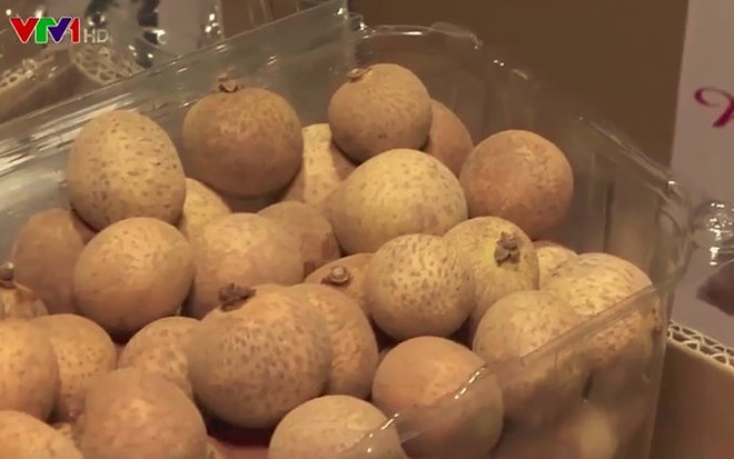 Longan vietnamita conquista al mercado europeo ảnh 1 Longan vietnamita conquista al mercado europeo ảnh 1
