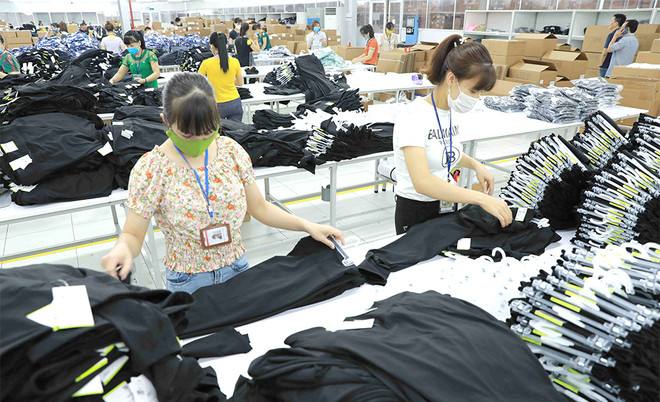 Provincia vietnamita de Phu Tho experimenta crecimiento notable de exportaciones ảnh 1 Provincia vietnamita de Phu Tho experimenta crecimiento notable de exportaciones ảnh 1