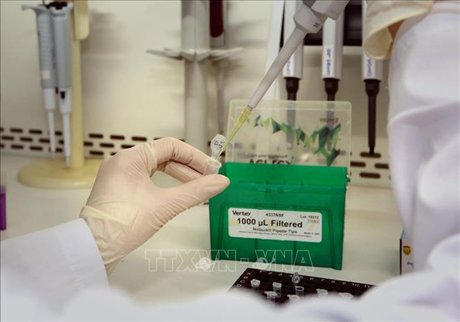 Alemania dona 160 mil kits de prueba de detección del COVID-19 a Vietnam ảnh 1 Alemania dona 160 mil kits de prueba de detección del COVID-19 a Vietnam ảnh 1