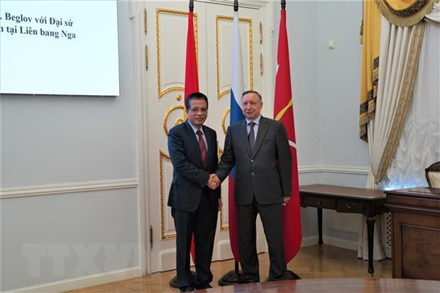 San Petersburgo robustece cooperación con localidades vietnamitas ảnh 1
