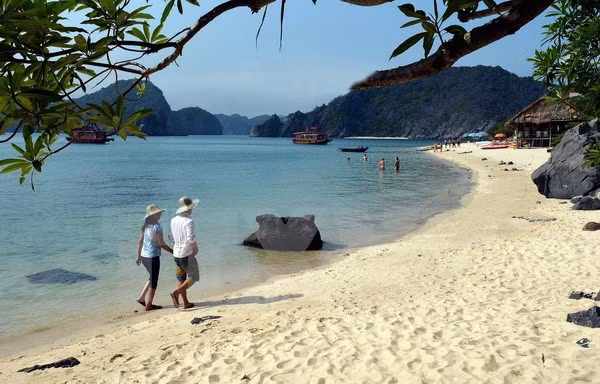 Ciudad de Hai Phong aspira a ser centro turístico del norte ảnh 1