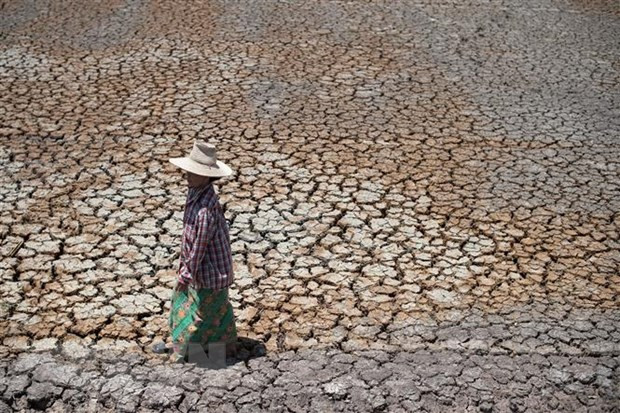 Discurso del presidente de Vietnam en debate general de la 76 sesión de Asamblea General de ONU ảnh 3 Discurso del presidente de Vietnam en debate general de la 76 sesión de Asamblea General de ONU ảnh 3