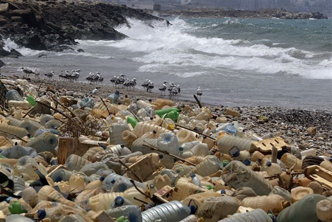 Desechan en Vietnam 150 mil toneladas de cartones cada año ảnh 1 Desechan en Vietnam 150 mil toneladas de cartones cada año ảnh 1