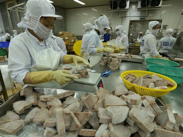 Reportan buenas perspectivas para sector acuícola de Vietnam en 2019 ảnh 1 Reportan buenas perspectivas para sector acuícola de Vietnam en 2019 ảnh 1