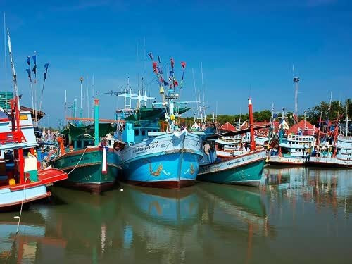 Espera Tailandia un futuro brillante para su industria pesquera ảnh 1 Espera Tailandia un futuro brillante para su industria pesquera ảnh 1