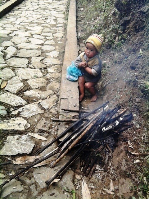 Impulsa Vietnam asistencia alimentaria a diversas localidades en vísperas del Tet ảnh 1 Impulsa Vietnam asistencia alimentaria a diversas localidades en vísperas del Tet ảnh 1