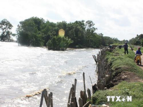 Recompensará Vietnam con un millón de dólares a iniciativas de respuesta al cambio climático ảnh 1 Recompensará Vietnam con un millón de dólares a iniciativas de respuesta al cambio climático ảnh 1