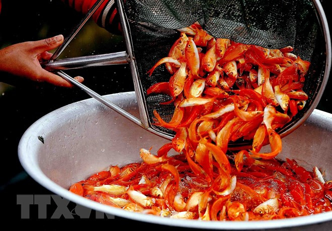 Celebran en Vietnam culto a dioses de la cocina ảnh 1 Celebran en Vietnam culto a dioses de la cocina ảnh 1