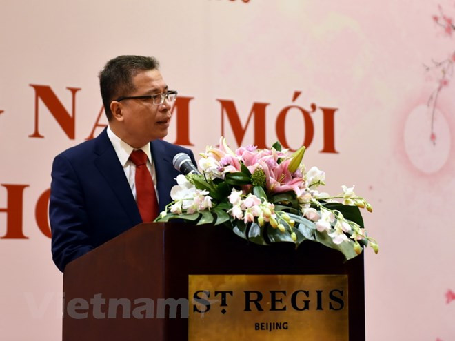 Celebra comunidad vietnamita en China encuentro en saludo a Tet 2019 ảnh 1 Celebra comunidad vietnamita en China encuentro en saludo a Tet 2019 ảnh 1