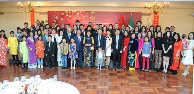 Celebran vietnamitas residentes en el extranjero actividades por Año Nuevo Lunar ảnh 1