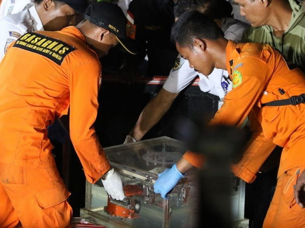 Detectan falla de anemómetro de avión siniestrado en Indonesia ảnh 1