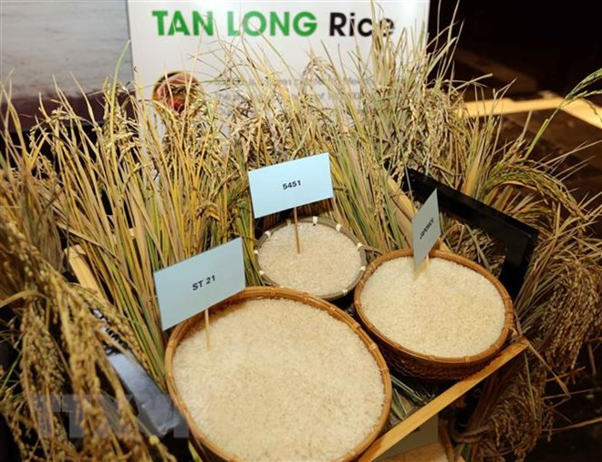 Promueven exportaciones agrícolas de Delta del Mekong a Estados Unidos ảnh 1 Promueven exportaciones agrícolas de Delta del Mekong a Estados Unidos ảnh 1