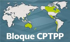 CPTPP crea nuevo entorno económico para empresas vietnamitas ảnh 1