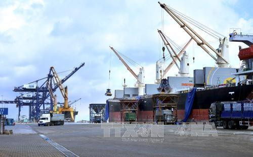 Puertos marítimos de Vietnam atienden 431 millones de toneladas de bienes en lo que va de año ảnh 1 Puertos marítimos de Vietnam atienden 431 millones de toneladas de bienes en lo que va de año ảnh 1