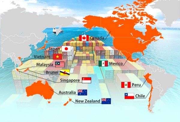 CPTPP afectará al desarrollo de la industria de acero de Vietnam, destacan expertos ảnh 1 CPTPP afectará al desarrollo de la industria de acero de Vietnam, destacan expertos ảnh 1