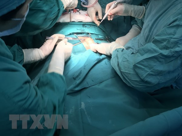 Especialistas estadounidenses cooperan con colegas vietnamitas en cirugías estéticas ảnh 1 Especialistas estadounidenses cooperan con colegas vietnamitas en cirugías estéticas ảnh 1