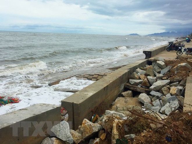 Evalúan estrategias de protección del entorno de Vietnam ảnh 1 Evalúan estrategias de protección del entorno de Vietnam ảnh 1