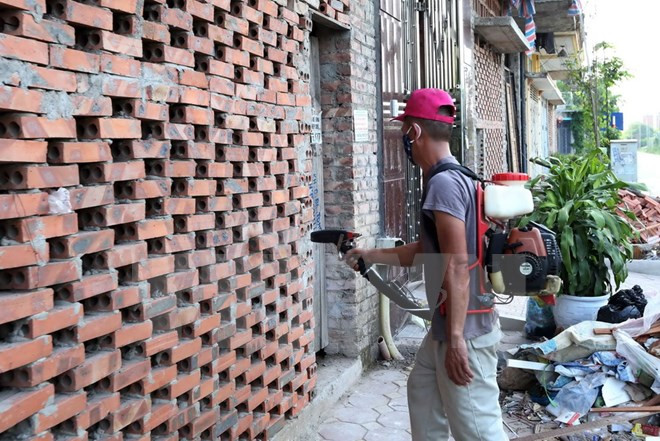 Hospitales en Hanoi refuerzan lucha contra el dengue ảnh 1
