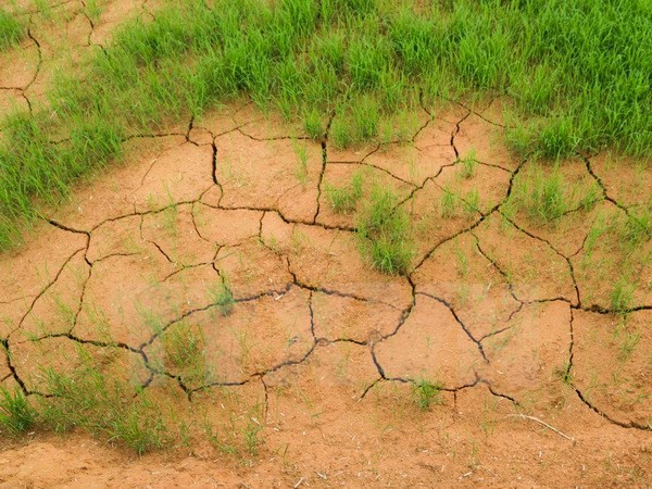 Vietnam implementará 24 proyectos en respuesta al cambio climático en Delta del Mekong ảnh 1 Vietnam implementará 24 proyectos en respuesta al cambio climático en Delta del Mekong ảnh 1