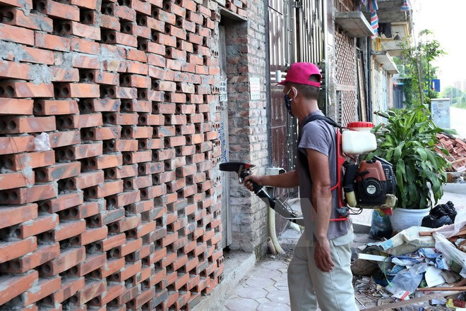 Ministerio de Salud inspecciona labores de prevención del dengue en Da Nang ảnh 1 Ministerio de Salud inspecciona labores de prevención del dengue en Da Nang ảnh 1