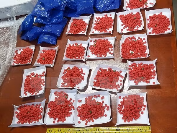 Decomisan gran cantidad de drogas en frontera Vietnam- Laos ảnh 1