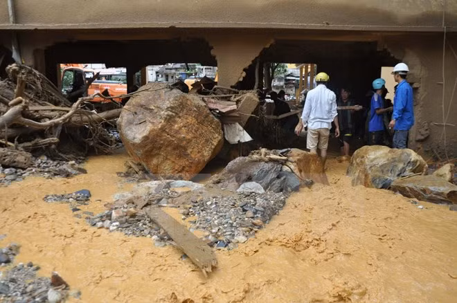 ASEAN ofrece asistencia a víctimas de desastres naturales en Vietnam ảnh 1