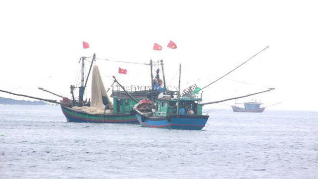 Japón respalda al sector pesquero de Vietnam ảnh 1 Japón respalda al sector pesquero de Vietnam ảnh 1
