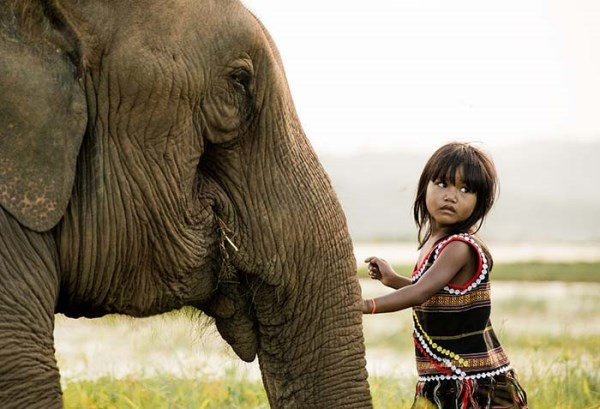 Realizan en Vietnam exposición de retratos artísticos “Patrimonios invaluables” ảnh 1