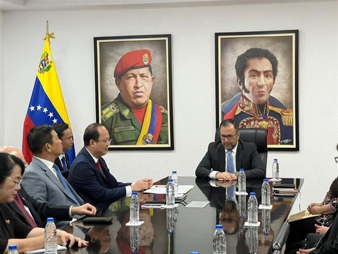 Promueven cooperación económica entre Ciudad Ho Chi Minh y localidades venezolanas ảnh 1 Promueven cooperación económica entre Ciudad Ho Chi Minh y localidades venezolanas ảnh 1