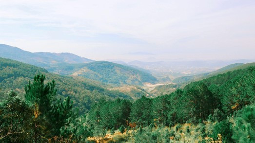 Da Lat se encuentra entre nueve destinos turísticos naturales más favoritos de Asia ảnh 1 Da Lat se encuentra entre nueve destinos turísticos naturales más favoritos de Asia ảnh 1