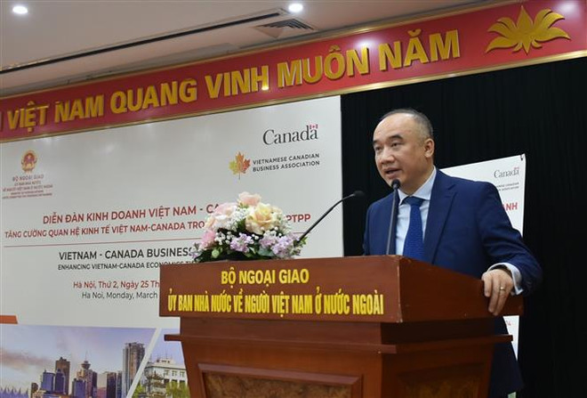 Promueven cooperación comercial Vietnam-Canadá en marco de CPTPP ảnh 1