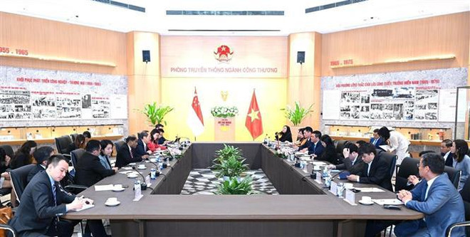Vietnam y Singapur profundizan cooperación en economía y energía ảnh 2 Vietnam y Singapur profundizan cooperación en economía y energía ảnh 2