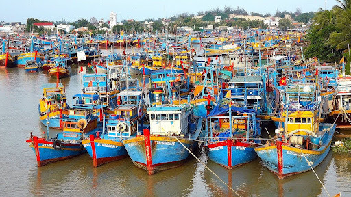 Vietnam se esfuerza por levantar advertencia de CE sobre pesca ilegal ảnh 1 Vietnam se esfuerza por levantar advertencia de CE sobre pesca ilegal ảnh 1