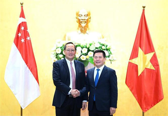 Vietnam y Singapur profundizan cooperación en economía y energía ảnh 1 Vietnam y Singapur profundizan cooperación en economía y energía ảnh 1