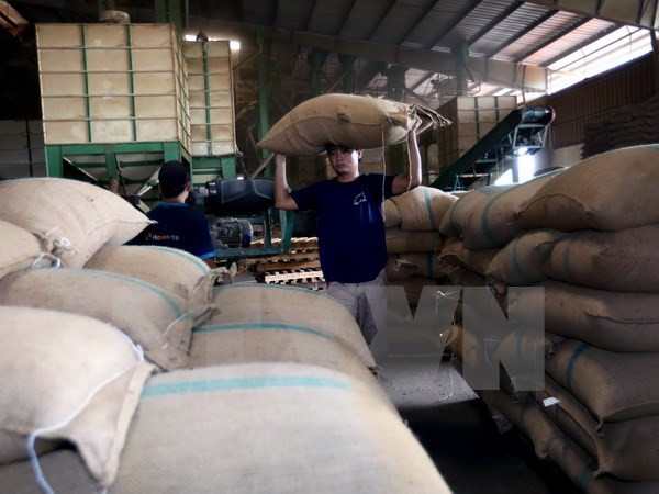 Exportaciones agrícolas de Vietnam disminuyen en enero de 2017 ảnh 1 Exportaciones agrícolas de Vietnam disminuyen en enero de 2017 ảnh 1