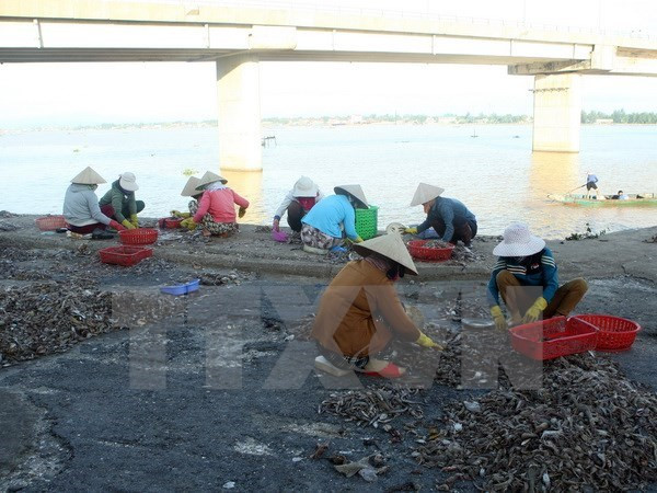 Vietnamitas afectados por incidente ambiental de Formosa recibirán más compensaciones ảnh 1 Vietnamitas afectados por incidente ambiental de Formosa recibirán más compensaciones ảnh 1