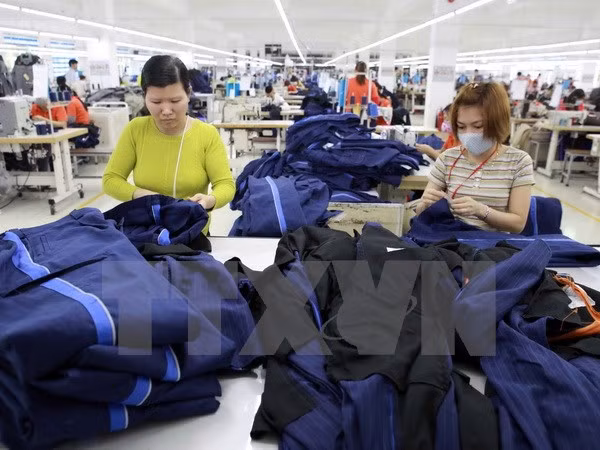 Vietnam disminuye su comercio con el exterior ảnh 1