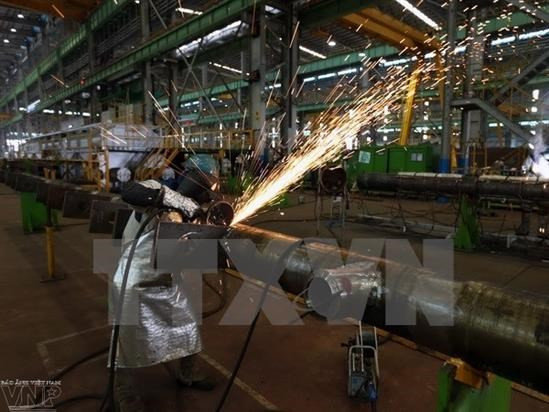 Vietnam logrará numerosos éxitos en 2017, según expertos rusos ảnh 1 Vietnam logrará numerosos éxitos en 2017, según expertos rusos ảnh 1